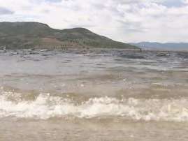 (Fox 13)
