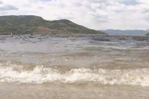 (Fox 13)