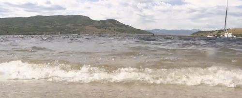(Fox 13)