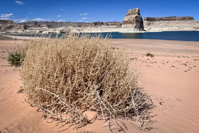 A lasting megadrought would be bad news for the Colorado River and its reservoirs. That includes Lake Powell, seen here April 24, 2024, at Lone Rock Beach in southern Utah. (David Condos/KUER)