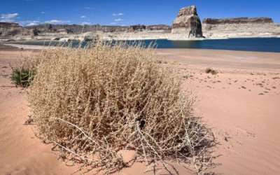 A lasting megadrought would be bad news for the Colorado River and its reservoirs. That includes Lake Powell, seen here April 24, 2024, at Lone Rock Beach in southern Utah. (David Condos/KUER) A lasting megadrought would be bad news for the Colorado River and its reservoirs. That includes Lake Powell, seen here April 24, 2024, at Lone Rock Beach in southern Utah. (David Condos/KUER)