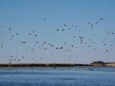 Birds take flight over the Great Salt Lake on Friday, Sept. 27, 2024. (Photo by Spenser Heaps for Utah News Dispatch)