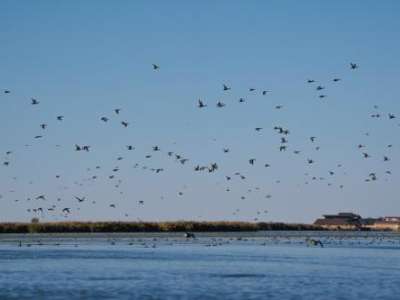 Birds take flight over the Great Salt Lake on Friday, Sept. 27, 2024. (Photo by Spenser Heaps for Utah News Dispatch)