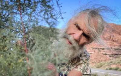 Retired ecologist Tim Graham inspects a tamarisk tree for beetle activity near the Colorado River in southeast Utah, Sept. 16, 2024. (David Condos/KUER) Retired ecologist Tim Graham inspects a tamarisk tree for beetle activity near the Colorado River in southeast Utah, Sept. 16, 2024. (David Condos/KUER)