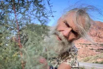 Retired ecologist Tim Graham inspects a tamarisk tree for beetle activity near the Colorado River in southeast Utah, Sept. 16, 2024. (David Condos/KUER)