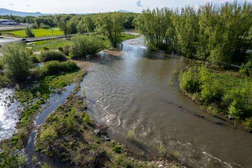 The Logan River runs high through Rendezvous Park on Thursday, May 18, 2023. (Trent Nelson | The Salt Lake Tribune)