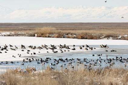 (Kristin Murphy/Deseret News)