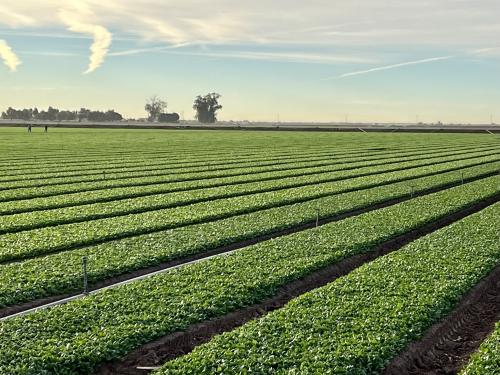 About 80% of the water goes to agriculture. If you’re using a big share and it’s more cost-effective, then that’s going to need to be the target,” said a co-author of the study. (Photo: Bureau of Reclamation Flickr, CC BY-SA 2.0)