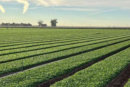 About 80% of the water goes to agriculture. If you’re using a big share and it’s more cost-effective, then that’s going to need to be the target,” said a co-author of the study. (Photo: Bureau of Reclamation Flickr, CC BY-SA 2.0)