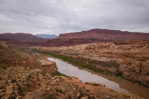 The Colorado River is pictured where if flows near Hite, just beyond the upper reaches of Lake Powell, on Friday, Sept. 19, 2025. (Photo by Spenser Heaps for Utah News Dispatch)