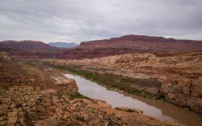 The Colorado River is pictured where if flows near Hite, just beyond the upper reaches of Lake Powell, on Friday, Sept. 19, 2025. (Photo by Spenser Heaps for Utah News Dispatch) The Colorado River is pictured where if flows near Hite, just beyond the upper reaches of Lake Powell, on Friday, Sept. 19, 2025. (Photo by Spenser Heaps for Utah News Dispatch)