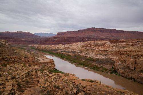 The Colorado River is pictured where if flows near Hite, just beyond the upper reaches of Lake Powell, on Friday, Sept. 19, 2025. (Photo by Spenser Heaps for Utah News Dispatch)