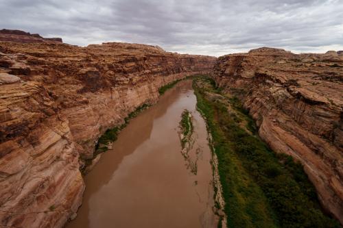  The Colorado River is pictured where if flows near Hite, just beyond the upper reaches of Lake Powell, on Friday, Sept. 19, 2025. (Photo by Spenser Heaps for Utah News Dispatch)