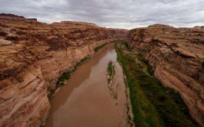The Colorado River is pictured where if flows near Hite, just beyond the upper reaches of Lake Powell, on Friday, Sept. 19, 2025. (Photo by Spenser Heaps for Utah News Dispatch) The Colorado River is pictured where if flows near Hite, just beyond the upper reaches of Lake Powell, on Friday, Sept. 19, 2025. (Photo by Spenser Heaps for Utah News Dispatch)