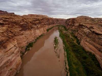  The Colorado River is pictured where if flows near Hite, just beyond the upper reaches of Lake Powell, on Friday, Sept. 19, 2025. (Photo by Spenser Heaps for Utah News Dispatch)