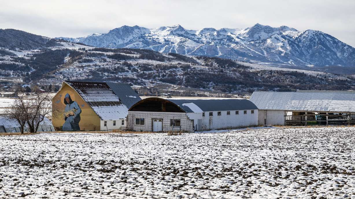The Historic Monastery Farm in Huntsville, Weber County, on Nov. 25, 2024. The farm is slated to direct about a quarter of its water to the Great Salt Lake as part of a agreement announced Tuesday. (Scott G Winterton, Deseret News)