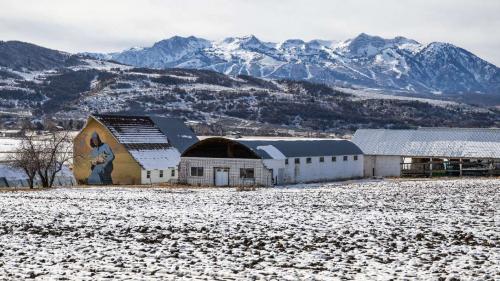 The Historic Monastery Farm in Huntsville, Weber County, on Nov. 25, 2024. The farm is slated to direct about a quarter of its water to the Great Salt Lake as part of a agreement announced Tuesday. (Scott G Winterton, Deseret News)