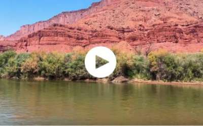 Screenshot 2025 12 16 at 9 45 10 Am 2