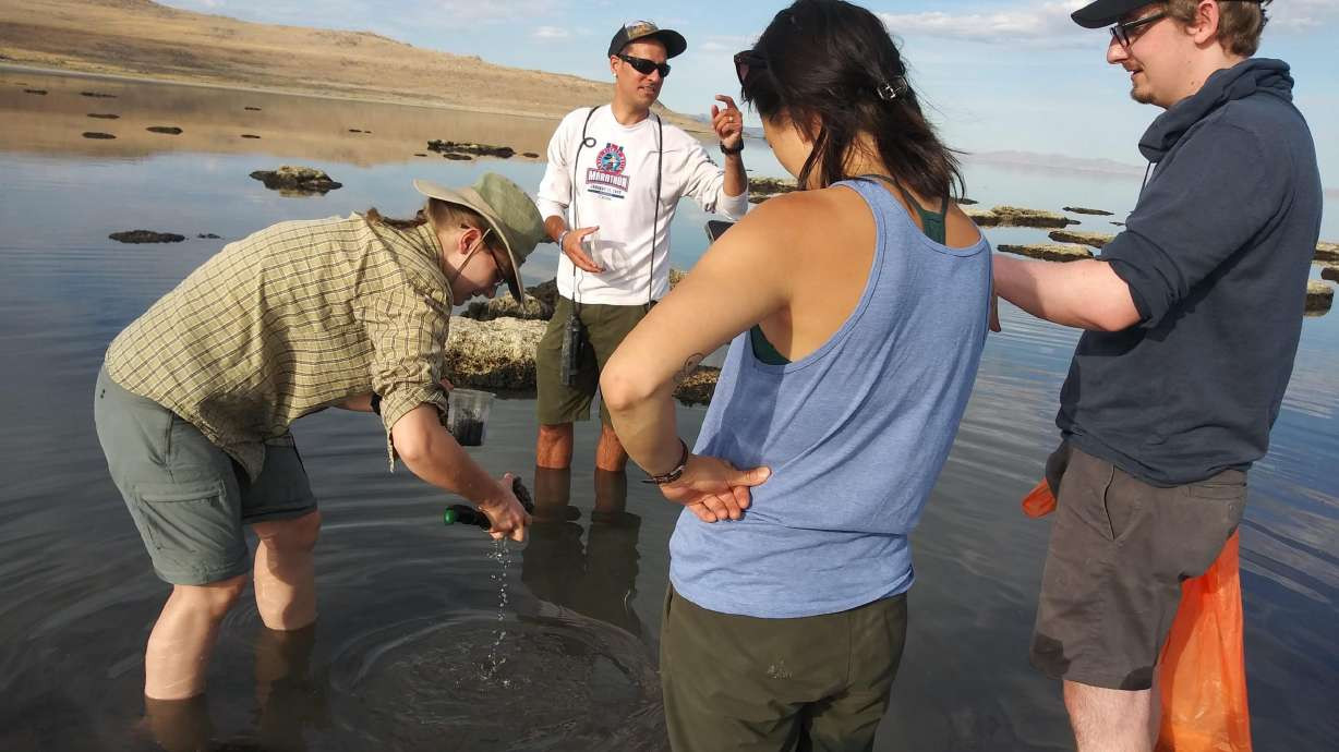 An undated photo of researchers collect sediment samples on the Great Salt Lake in search of nematodes. A study led by Utah researchers published last month outlined a previously unknown nematode species living in the lake. (Michael Werner, University of Utah)