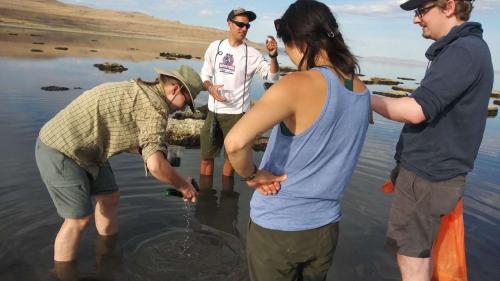 An undated photo of researchers collect sediment samples on the Great Salt Lake in search of nematodes. A study led by Utah researchers published last month outlined a previously unknown nematode species living in the lake. (Michael Werner, University of Utah)