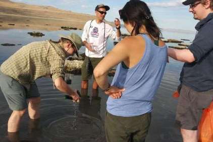 An undated photo of researchers collect sediment samples on the Great Salt Lake in search of nematodes. A study led by Utah researchers published last month outlined a previously unknown nematode species living in the lake. (Michael Werner, University of Utah)