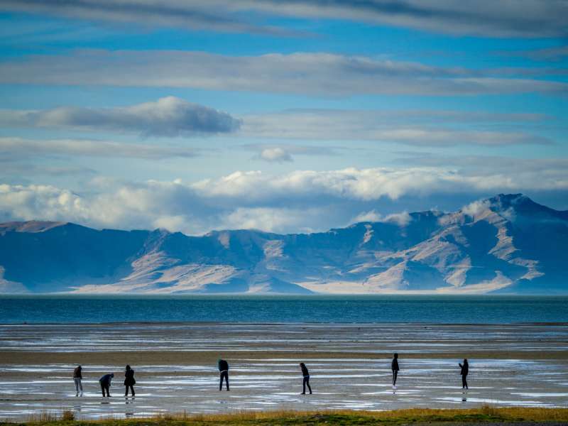 20260102 Day Tn 3377 2