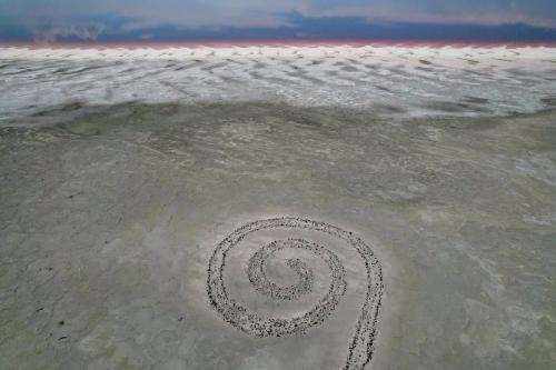 (Francisco Kjolseth | The Salt Lake Tribune) The Spiral Jetty, just south of land leased for a lithium mining operation on the Great Salt Lake's north arm, is pictured on Thursday, Aug. 14, 2025.
