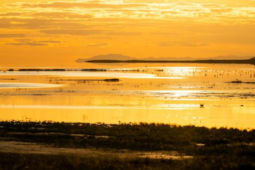 The shores of the Great Salt Lake near Antelope Island are pictured on Tuesday, May 21, 2024. (Photo by Spenser Heaps for Utah News Dispatch)