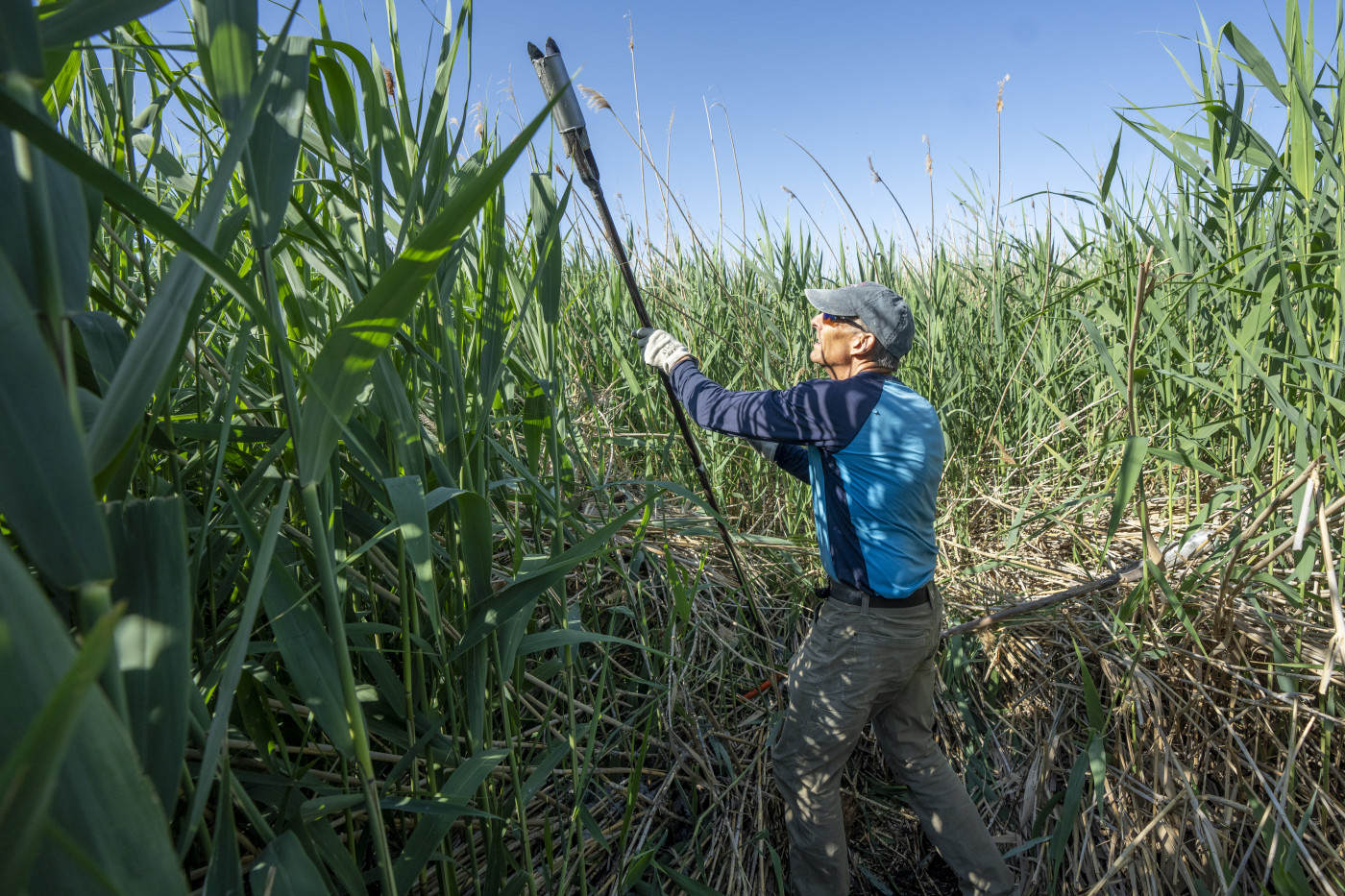 (Rick Egan | The Salt Lake Tribune) Bill Johnson, researches the freshwater aquifer beneath the Great Salt Lake on Tuesday, June 17, 2025.