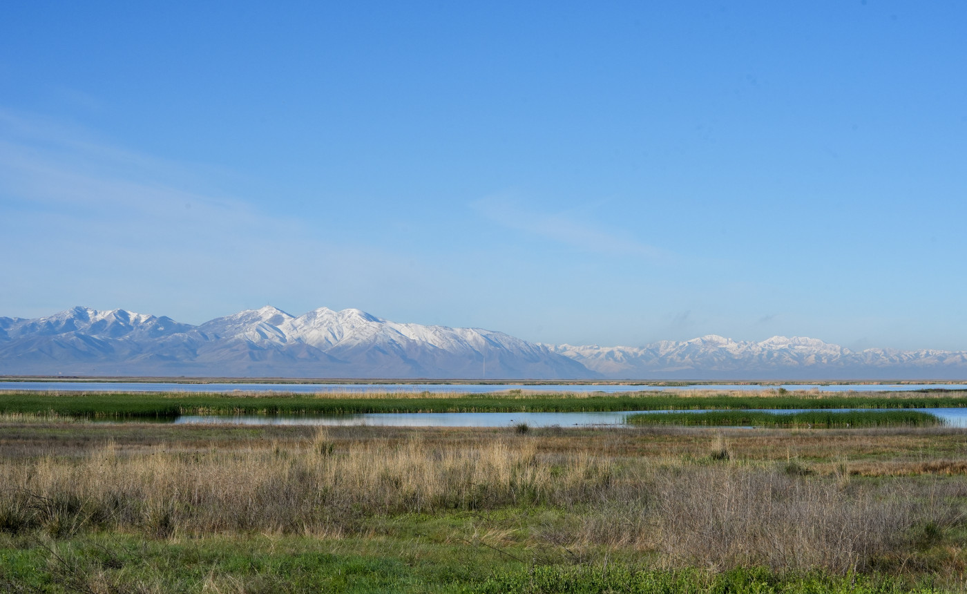 (Chris Samuels | The Salt Lake Tribune) The Great Salt Lake is seen from the Eccles Wildlife Education Center in Farmington, Monday, April 13, 2026.