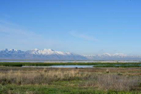(Chris Samuels | The Salt Lake Tribune) The Great Salt Lake is seen from the Eccles Wildlife Education Center in Farmington, Monday, April 13, 2026.