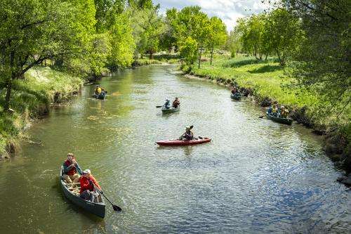 (Rick Egan | The Salt Lake Tribune) Volunteers paddle along the banks of the Jordan River on Wednesday, April 22, 2026, as the Jordan River Commission hosted an Earth Day kayak-based river cleanup on the Jordan River.