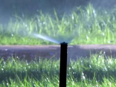 Sprinkler Shame 2 Fox 13