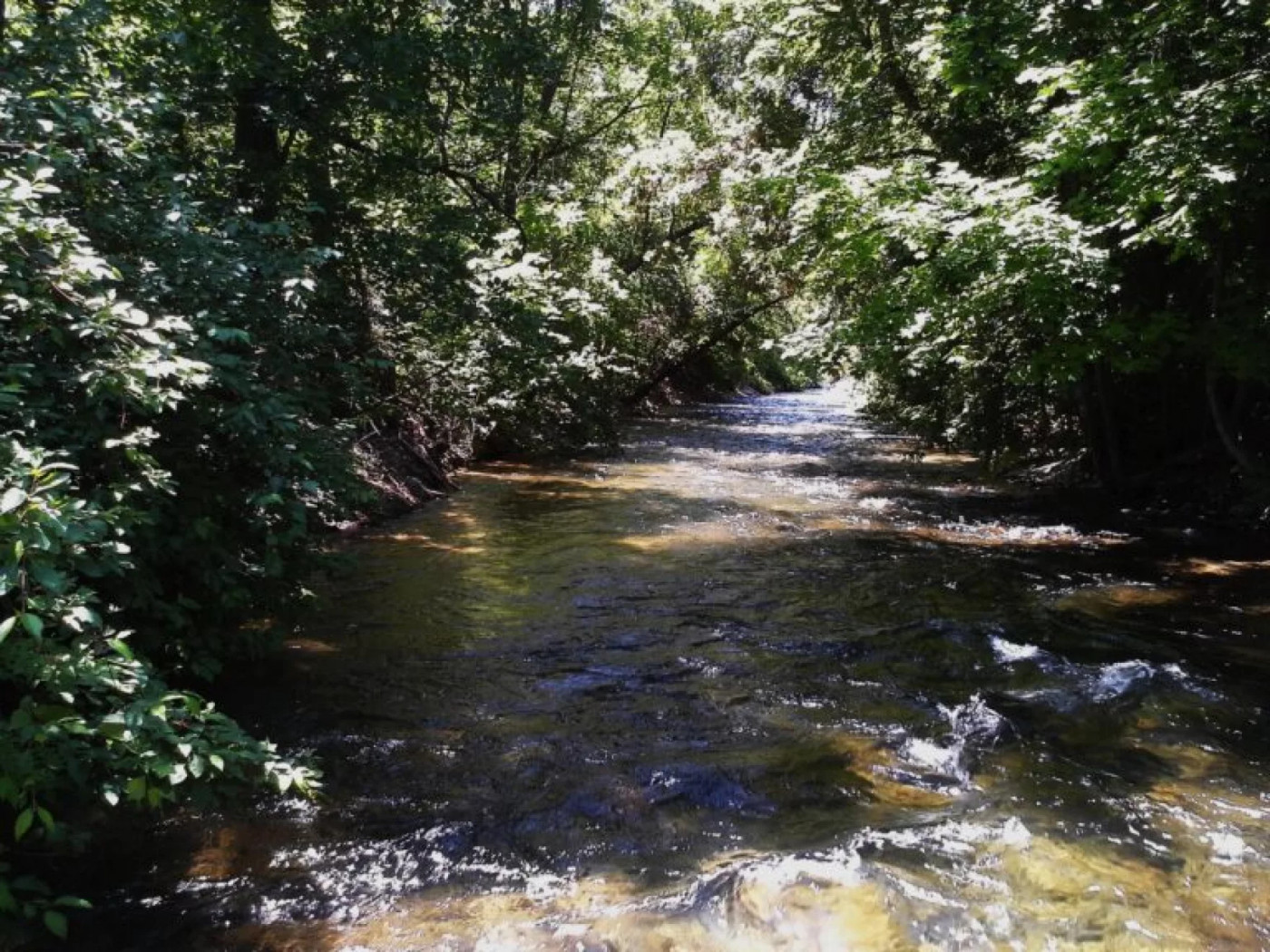 (Courtesy Hilary Shughart) An upcoming city council vote in October 2025 in Logan might make it easier to build only 25 feet from riverbanks.