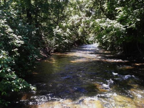(Courtesy Hilary Shughart) An upcoming city council vote in October 2025 in Logan might make it easier to build only 25 feet from riverbanks.
