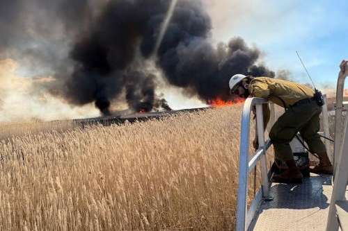 (Utah Fire Info) Pictured are crew members working a controlled fire to get rid of invasive phragmites around the Great Salt Lake.