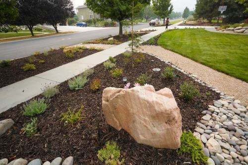 (Leah Hogsten | The Salt Lake Tribune) With the help of state-run rebate and incentive programs, Draper resident Cindi Griswald turned her grass parking strips into a colorful, water-wise landscape, Aug. 6, 2021.
