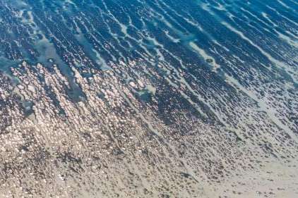 Patterns of water and the ground are pictured at the edge of the Great Salt Lake in Salt Lake City on June 4. A recent study found nearly 70% of Salt Lake County residents are considered by the declining lake, but some groups more than others. (Laura Seitz, Deseret News )