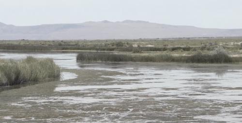 (Mike Anderson, KSL)