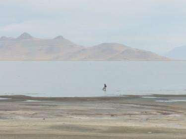 Photo by: FOX 13  Satellite images show dramatic effects drought is having on the Great Salt Lake