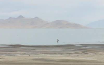 Photo by: FOX 13  Satellite images show dramatic effects drought is having on the Great Salt Lake