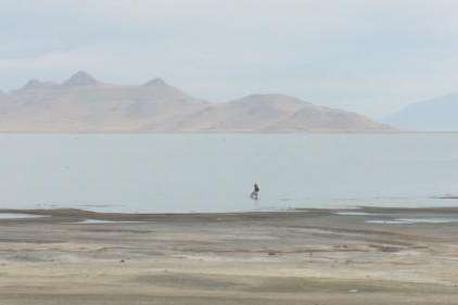 Photo by: FOX 13  Satellite images show dramatic effects drought is having on the Great Salt Lake