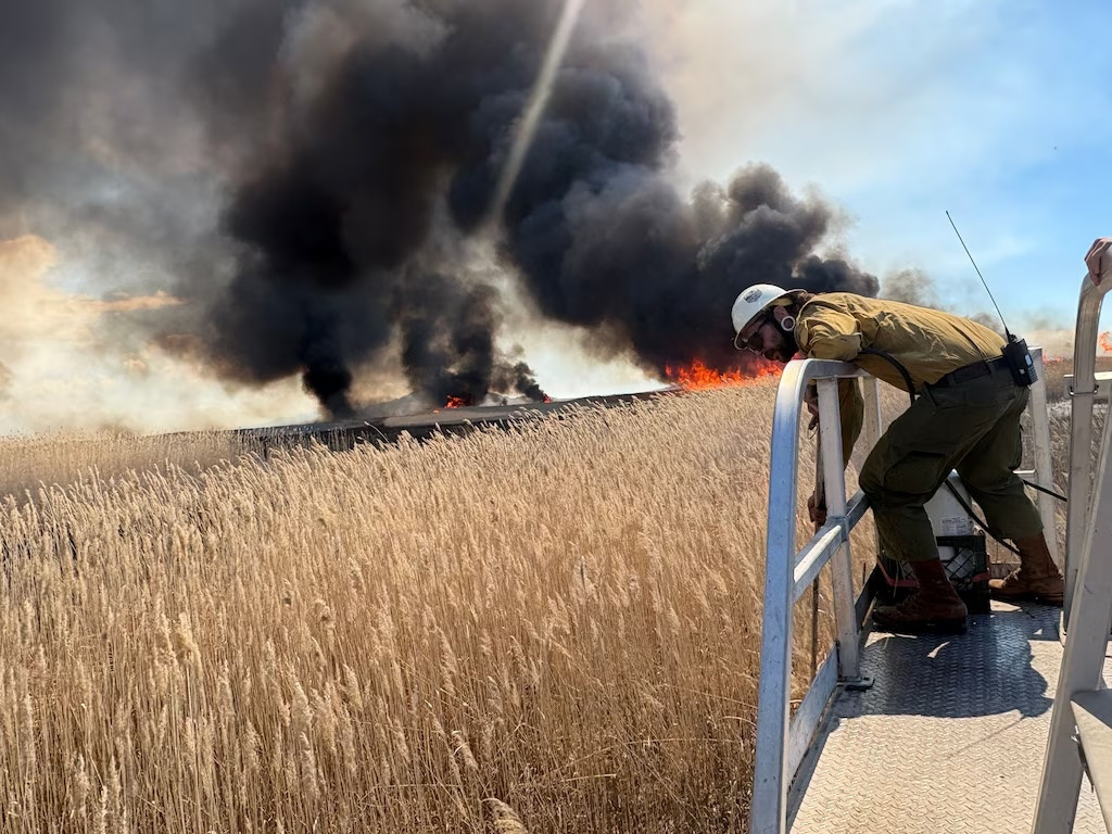 Crew members work a controlled fire to get rid of invasive phragmites around the Great Salt Lake. (Utah Fire Info)
