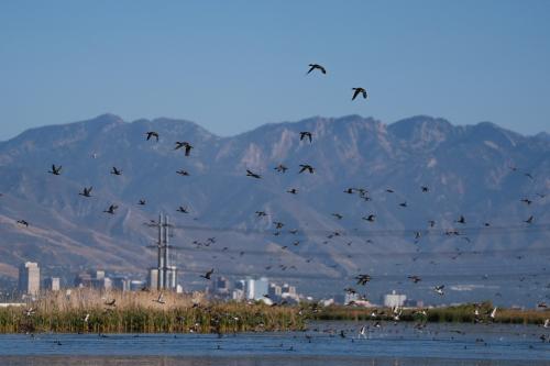  Birds take flight over the Great Salt Lake, with downtown Salt Lake City visible in the background, on Friday, Sept. 27, 2024. (Photo by Spenser Heaps for Utah News Dispatch)