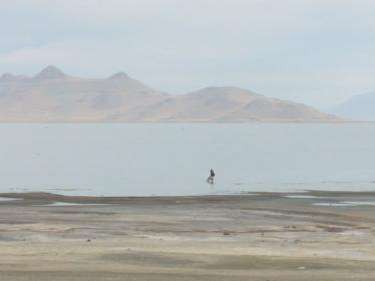 Satellite images show dramatic effects drought is having on the Great Salt Lake