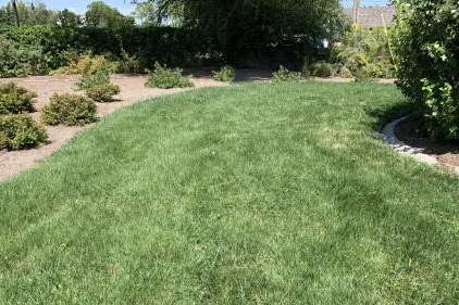 A specially-created blend of grass called "SLC Turf Trade" uses at least 30% less water than others, while still looking green.