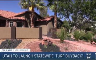 The state of Utah will implement the "turf buyback" program this spring. (Screenshot FOX 13)