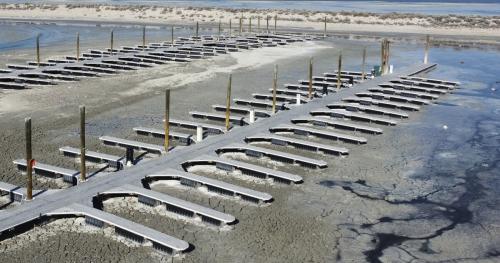 Great Salt Lake not that far off from an ecosystem collapse: Toxic dust  storms, die-offs loom