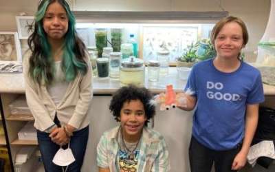 Students from Emerson Elementary in Salt Lake City created a petition to name the brine shrimp as the state crustacean. Photo from change.org petition.