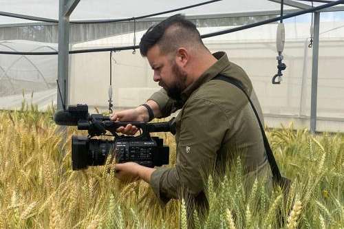 FOX 13 News reporter Ben Winslow films experimental wheat crops at the Volcani Institute in Israel on March 29, 2023. (Limor Ashkenazi / Israel Connect)